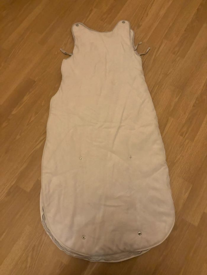 Gigoteuse Disney - photo numéro 2