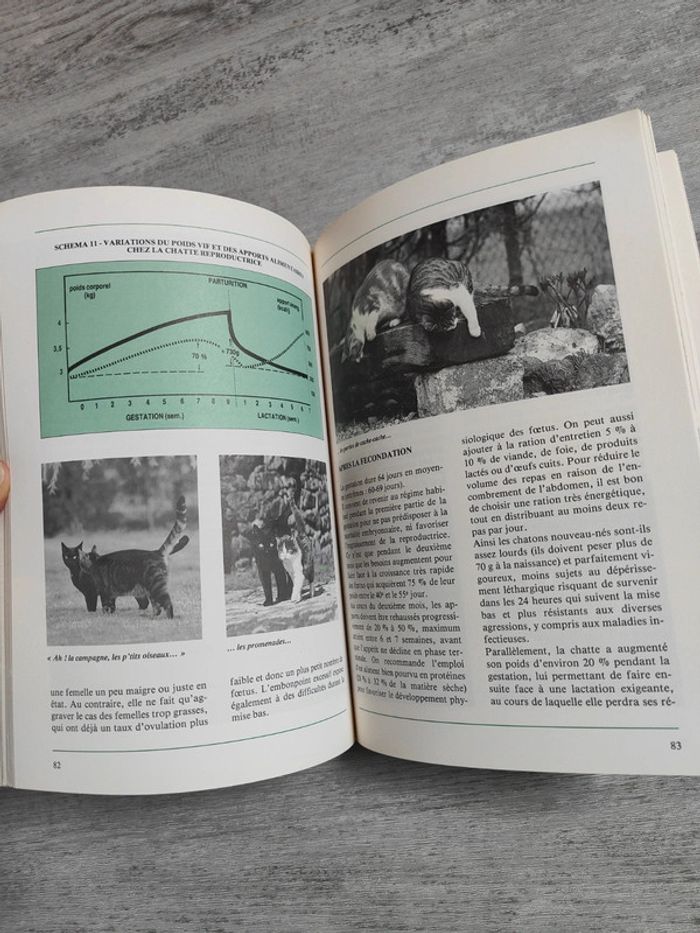 Dietetichat 🐱 - photo numéro 2