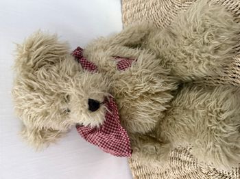 Ours en peluche avec foulard / Cœur Barbara Bukowski Design suédois 1990 Peluche