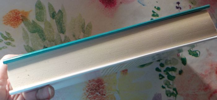 LIOUBA de Pierre REY Ed. Le Grand Livre du Mois - photo numéro 4