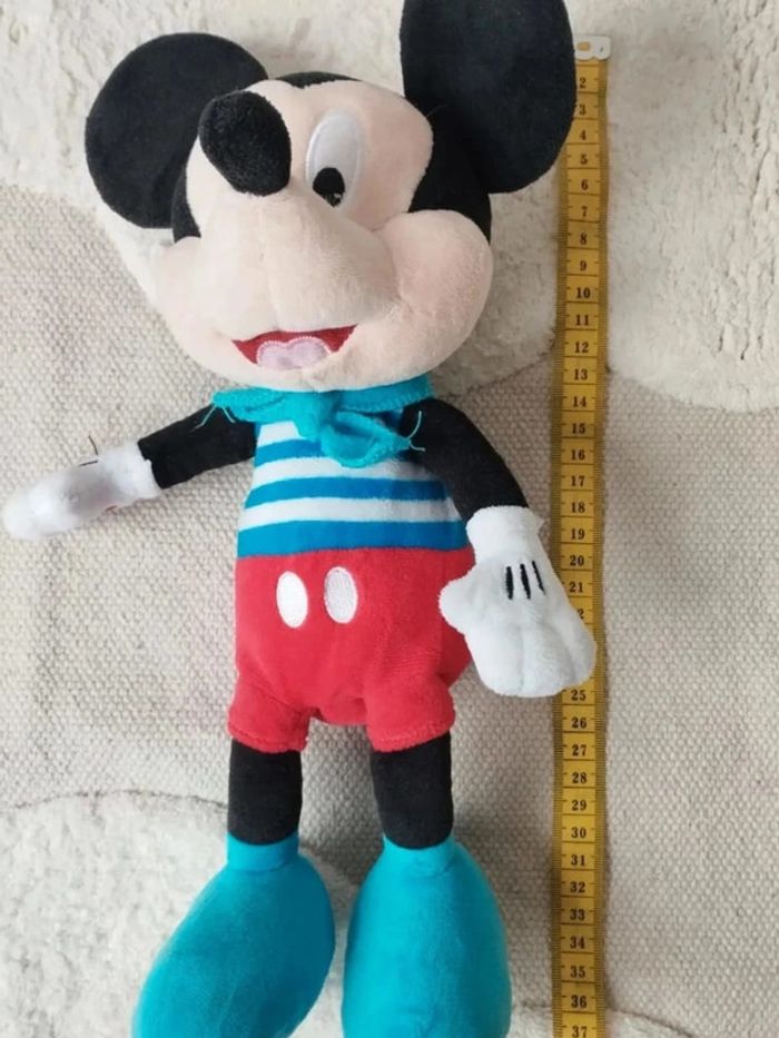 Mickey - photo numéro 5
