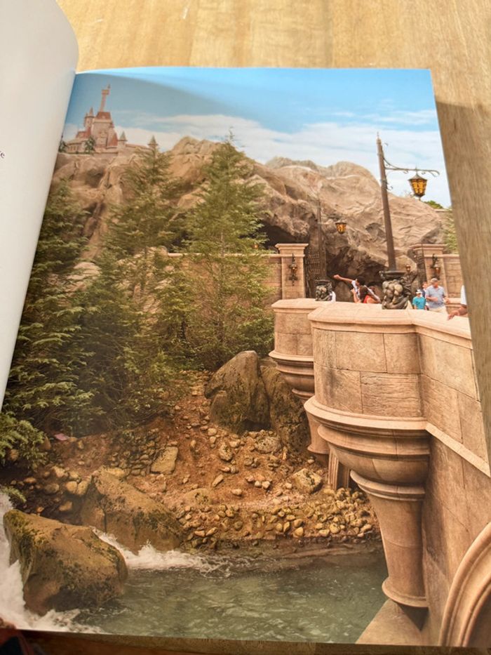 Grand livre rare Disney La Belle et la Bête - L’Histoire éternelle d’un chef d’œuvre Charles Solomon - photo numéro 14