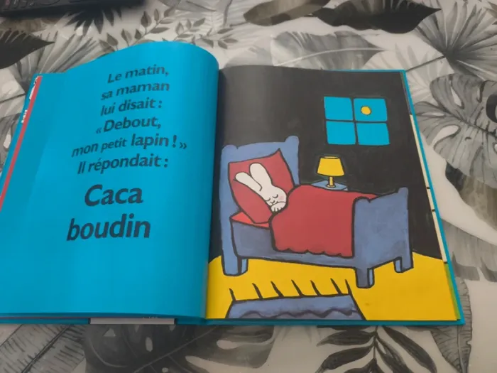 Album école des loisirs caca boudin - photo numéro 4