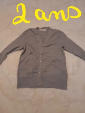Gilet gris