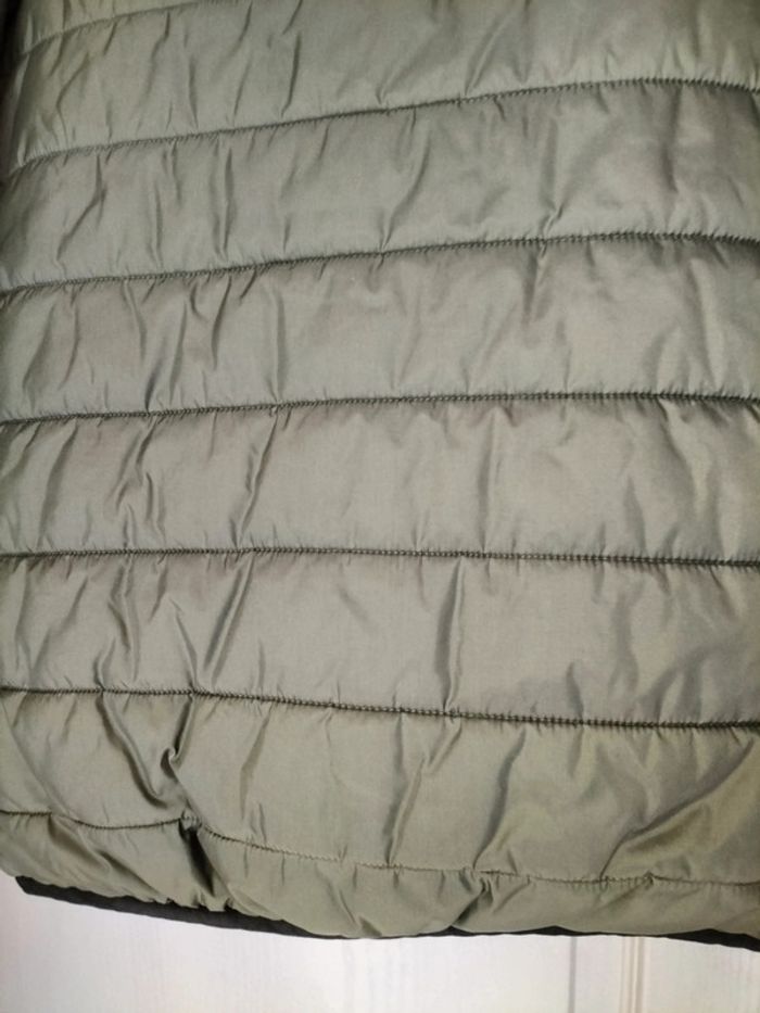 Blouson kaki 14ans Esprit - photo numéro 17