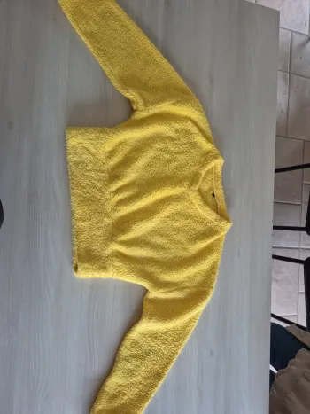 Pull polaire