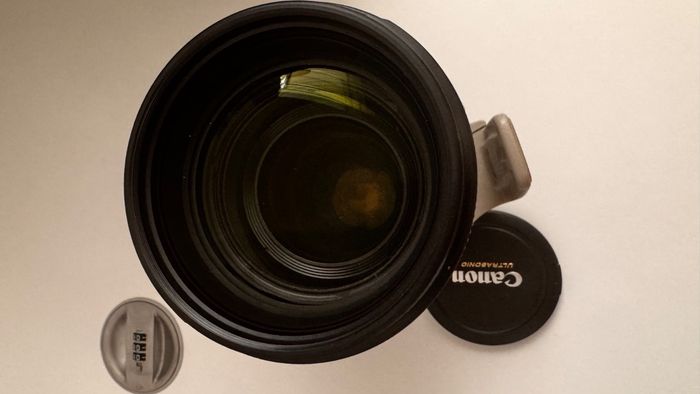 Objectif zoom Canon EF 70-200 mm F/2,8 L IS II USM d'occasion. - photo numéro 8