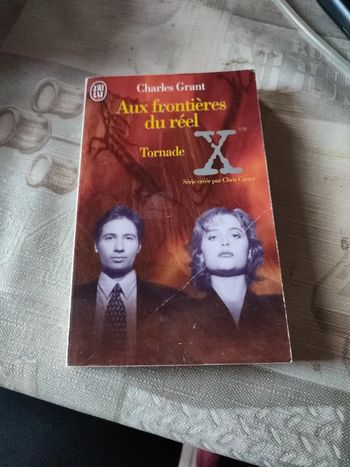 Aux frontières du réel