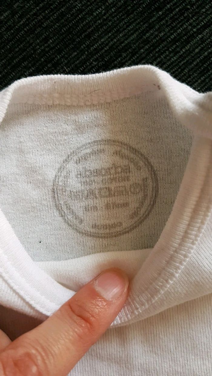 Body absorba - photo numéro 3