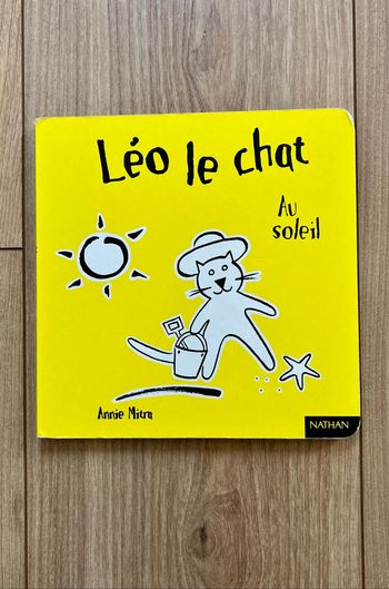 Léo le chat : Au soleil - Livre