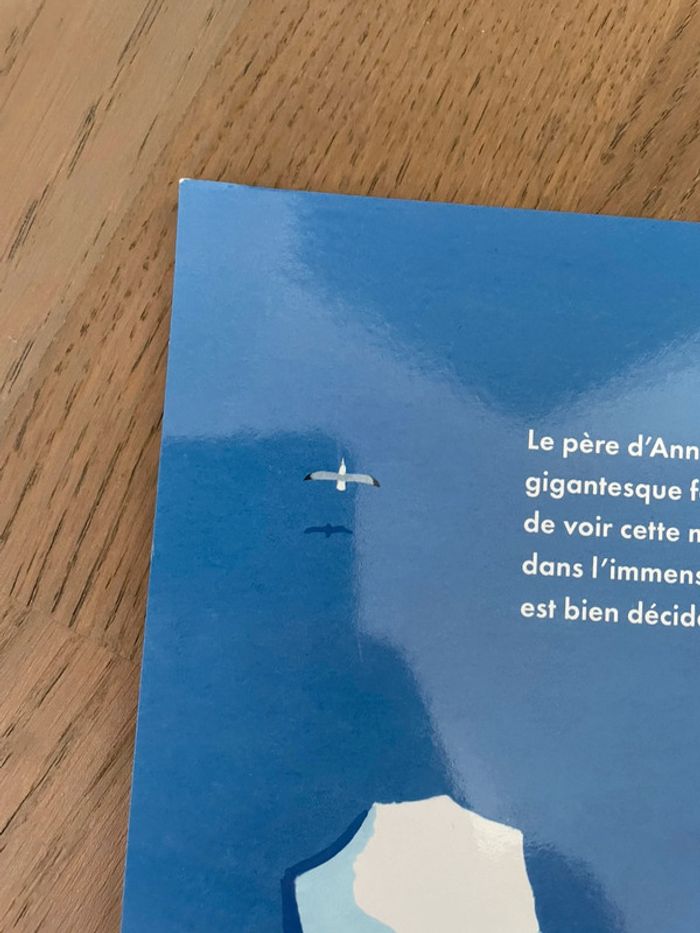 Livre jeunesse La mystérieuse baleine de Daniel Frost - photo numéro 4