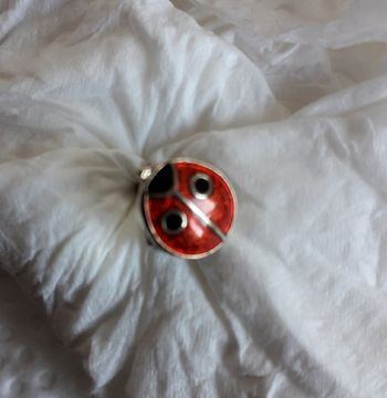 Boucle d'oreille fantaisie