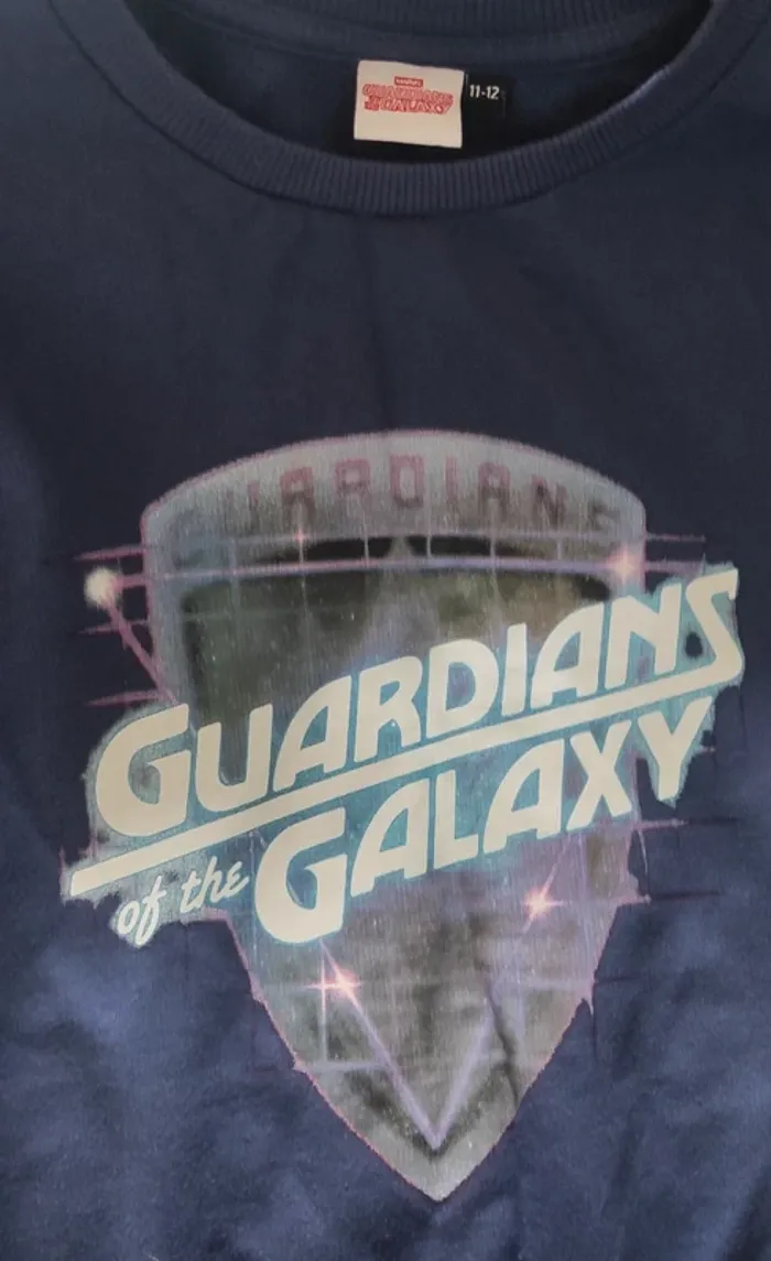 Sweat garçon 11/12 ans - photo numéro 2