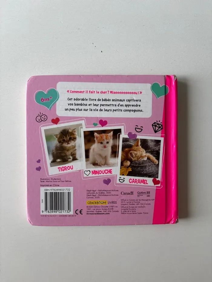 Livre, chats mignons - photo numéro 2