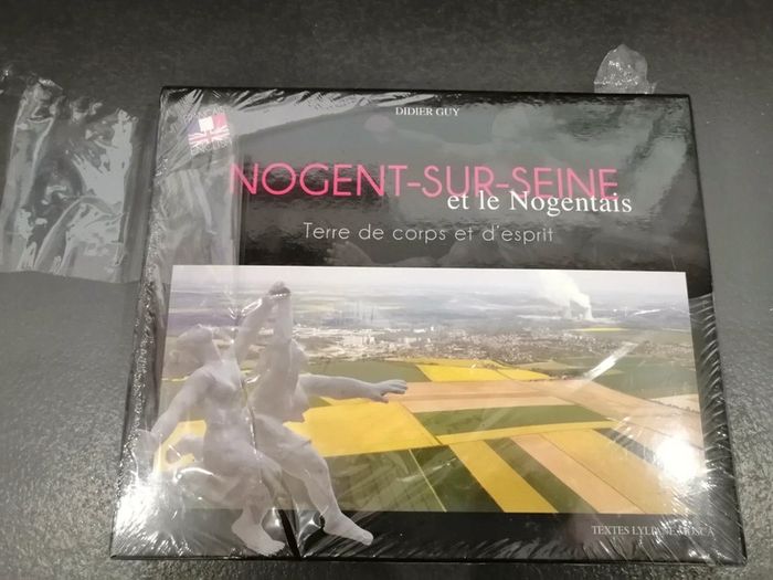 Nogent sur seine et le nogentais - photo numéro 2
