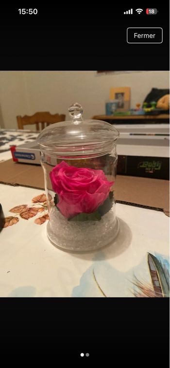 Rose éternelle 