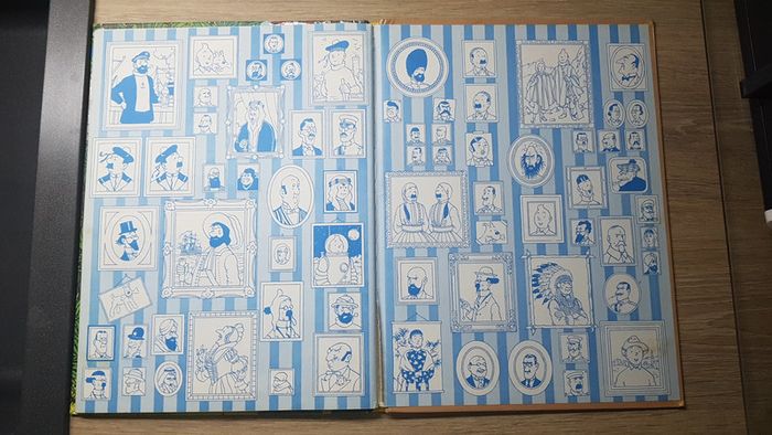 Tintin et les Picaros - photo numéro 4