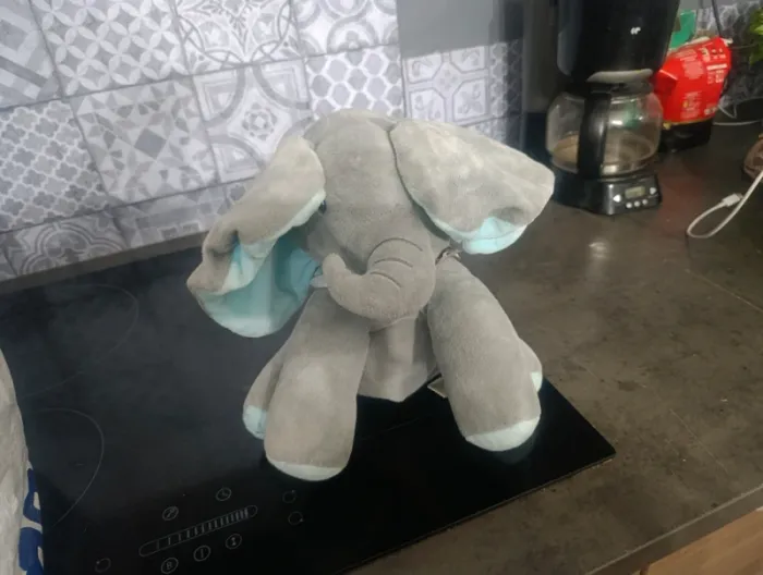 Éléphant coucou beuh