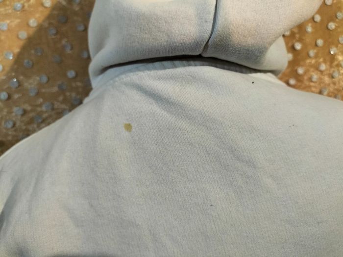 Sweat femme taille XS - photo numéro 8