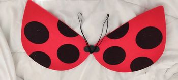 Superbes ailes de coccinelle déguisement enfant