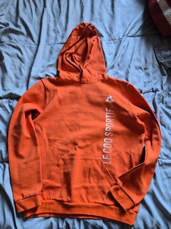 Pull a capuche garçon 14 ans le coq sportif 