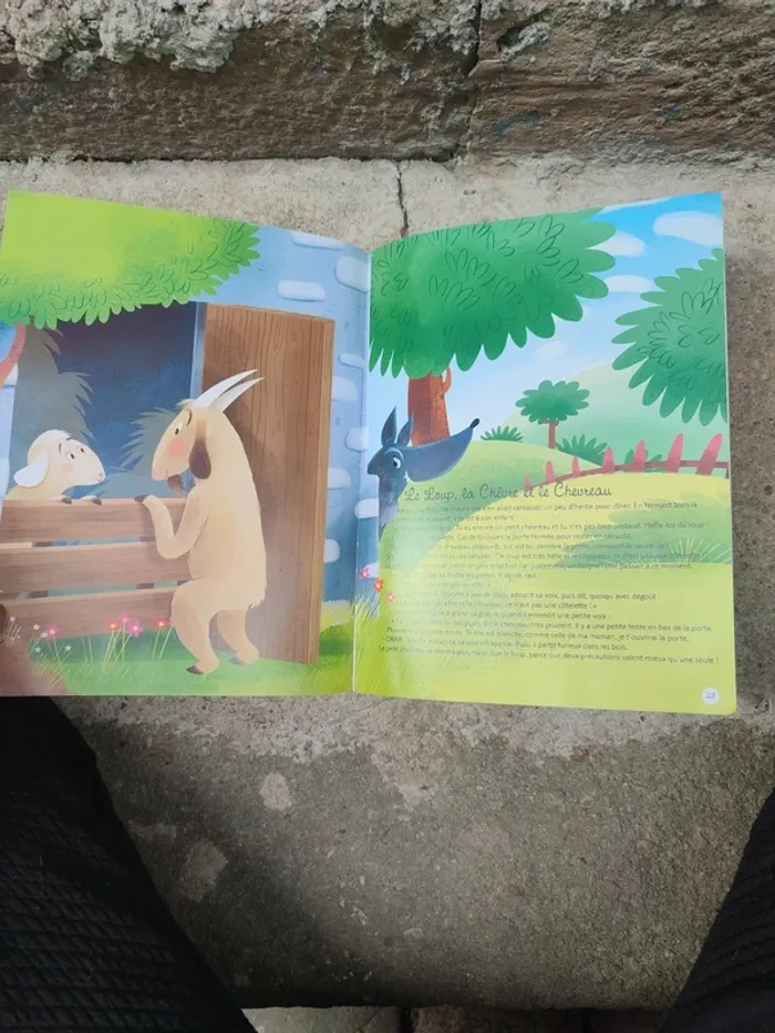Livre mes Contes d'animaux - photo numéro 17