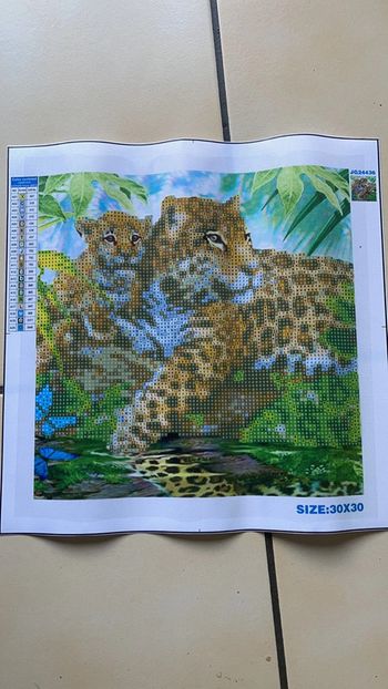 Toile partielle Diamond Painting 30x30cm n°10