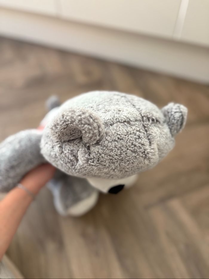 Ours en peluche - photo numéro 5