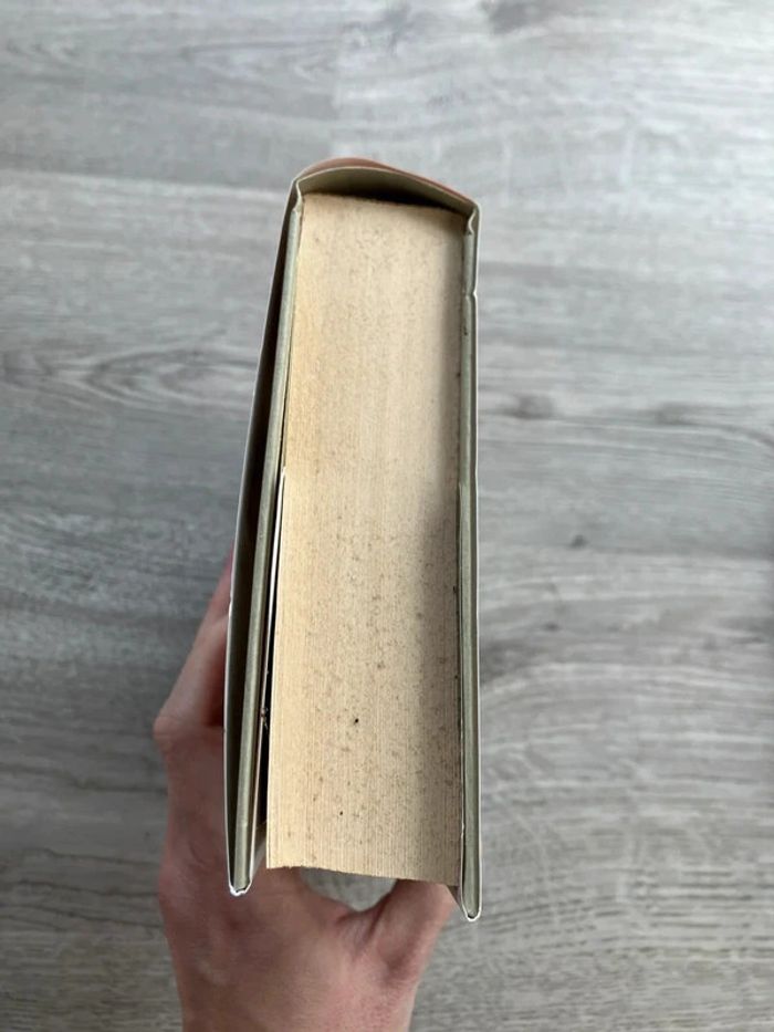 Roman - Les ailes de l'ange de Jenny Wingfield - photo numéro 4