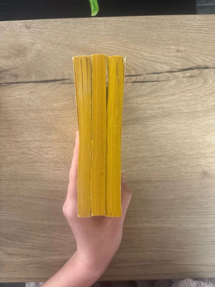 Lot de livres thrillers Agatha Christie Vintage - photo numéro 4