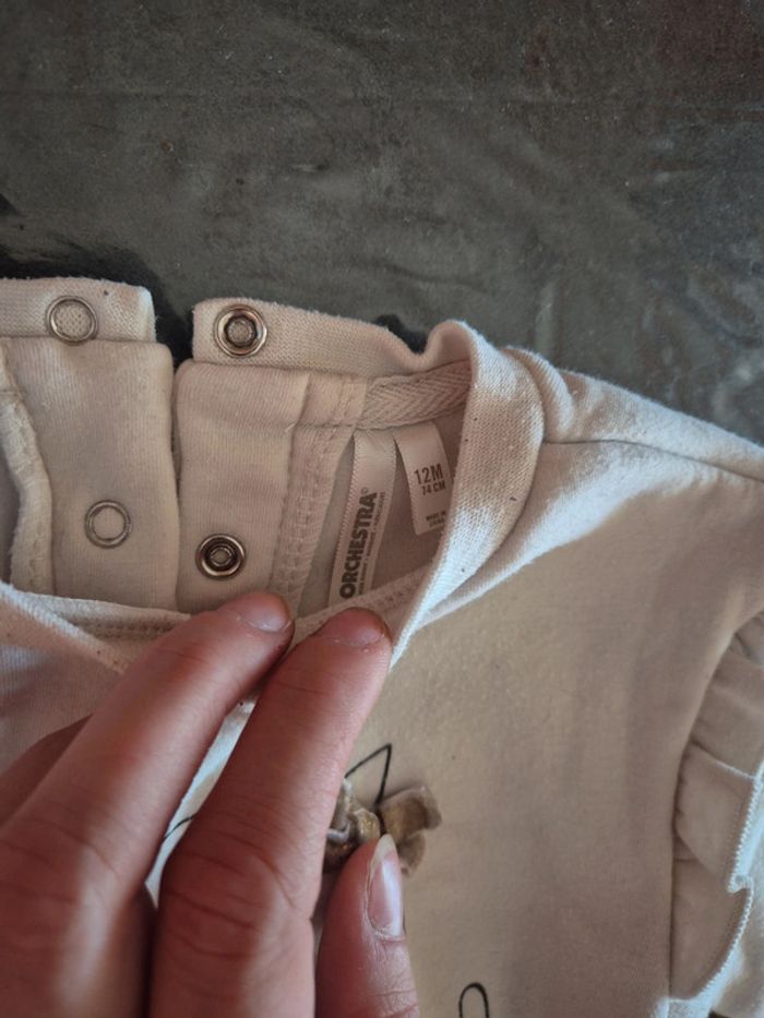 Pull chat - photo numéro 3