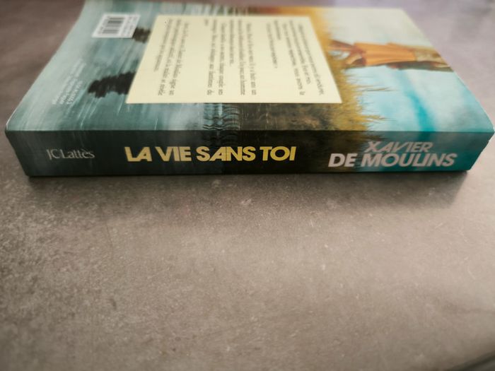 La vie sans toi – Xavier de Moulins - photo numéro 3