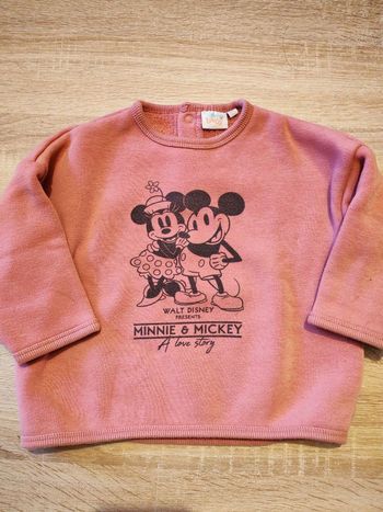 Sweat Disney Baby – 18 mois, doublé polaire