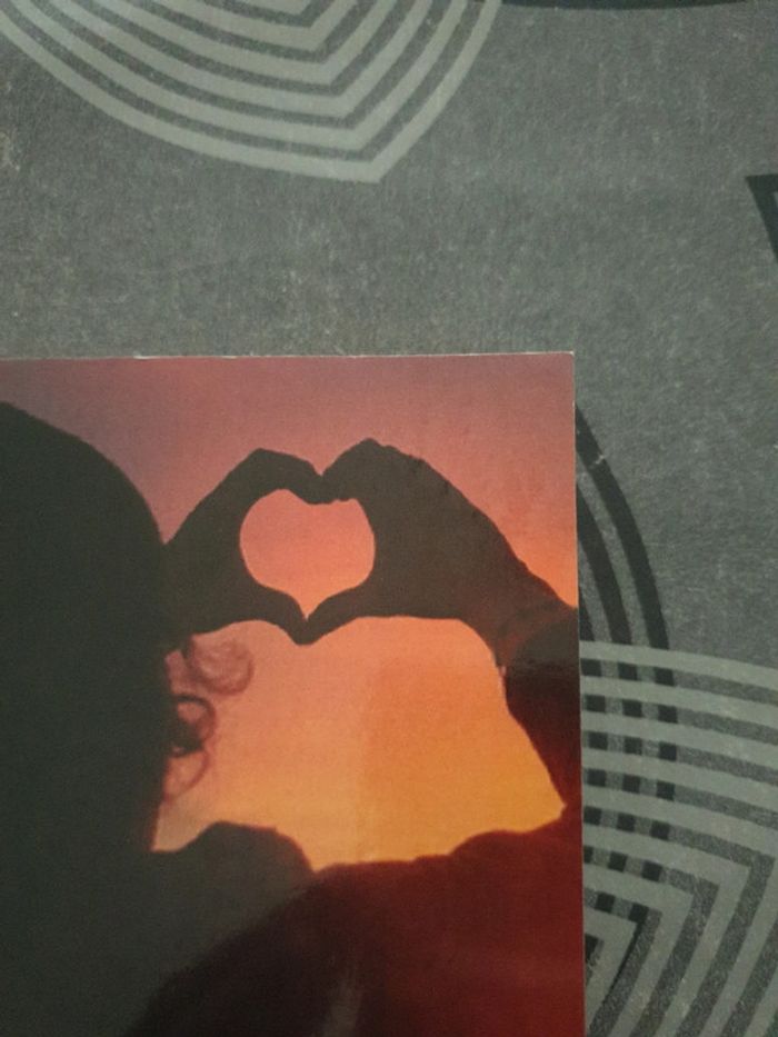 Le cœur est un muscle fragile - photo numéro 5