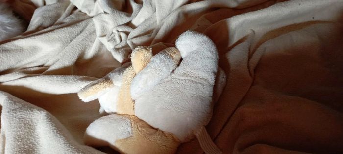 Nounours écureuil - photo numéro 2
