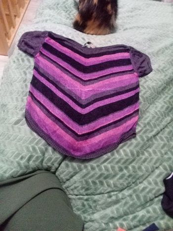 Petit pull leger caroll