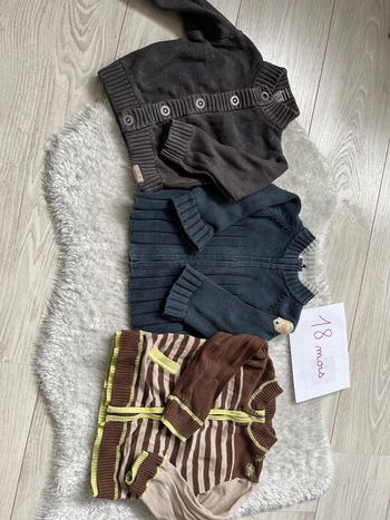 Lot 3 pulls/gilets 18 mois