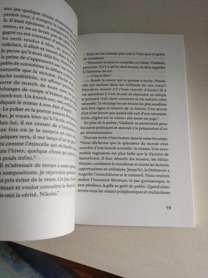 Les Vies secrètes de Vladimir de Yoann Iacino - photo numéro 7