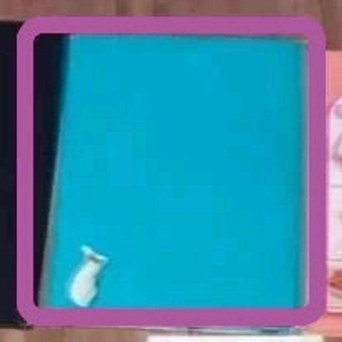 🌟🌟lot de 2 livres tupperware 🌟🌟 - photo numéro 2
