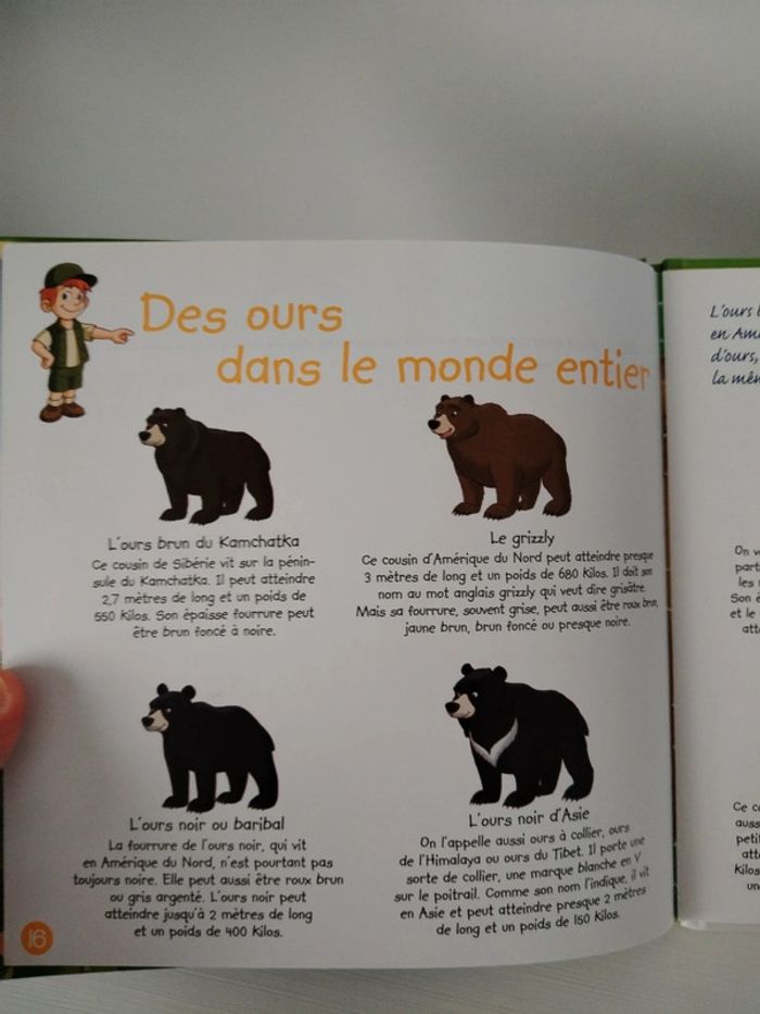 Altaya Les animaux de la forêt n°2 L'ours brun - photo numéro 13