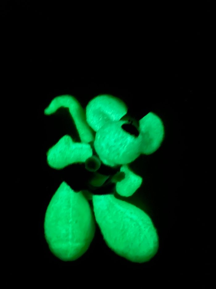 Diddl et Diddlina brille dans le noir - photo numéro 5