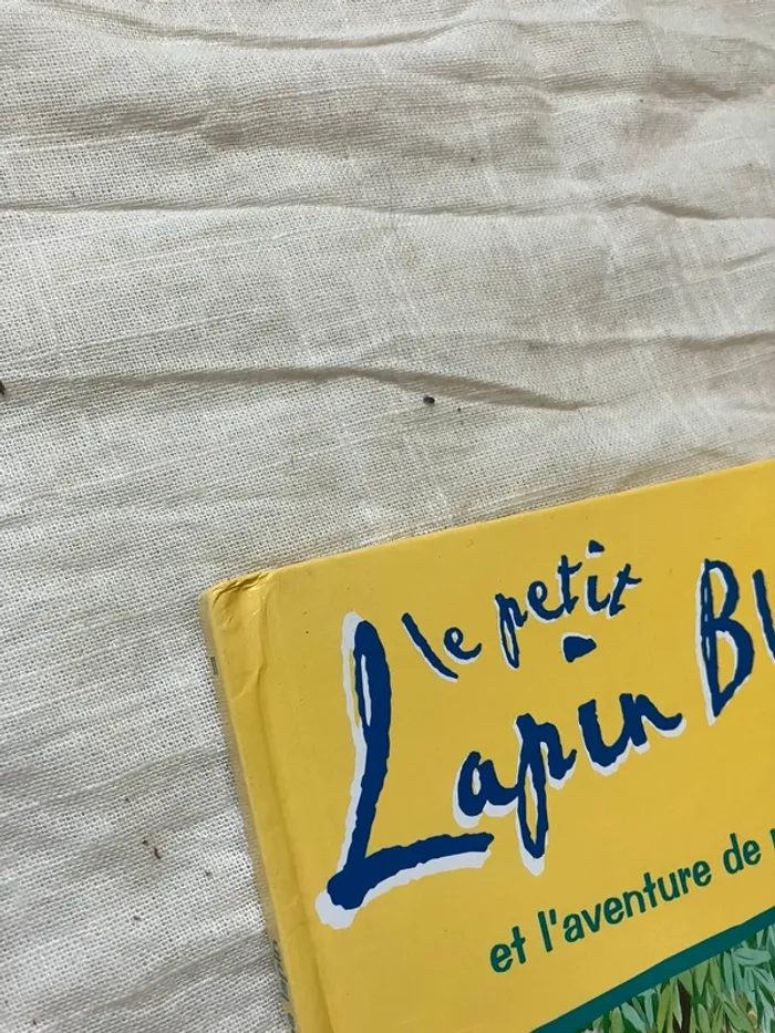 Livre enfant – Le petit lapin bleu et l’aventure de papa lapin - photo numéro 3