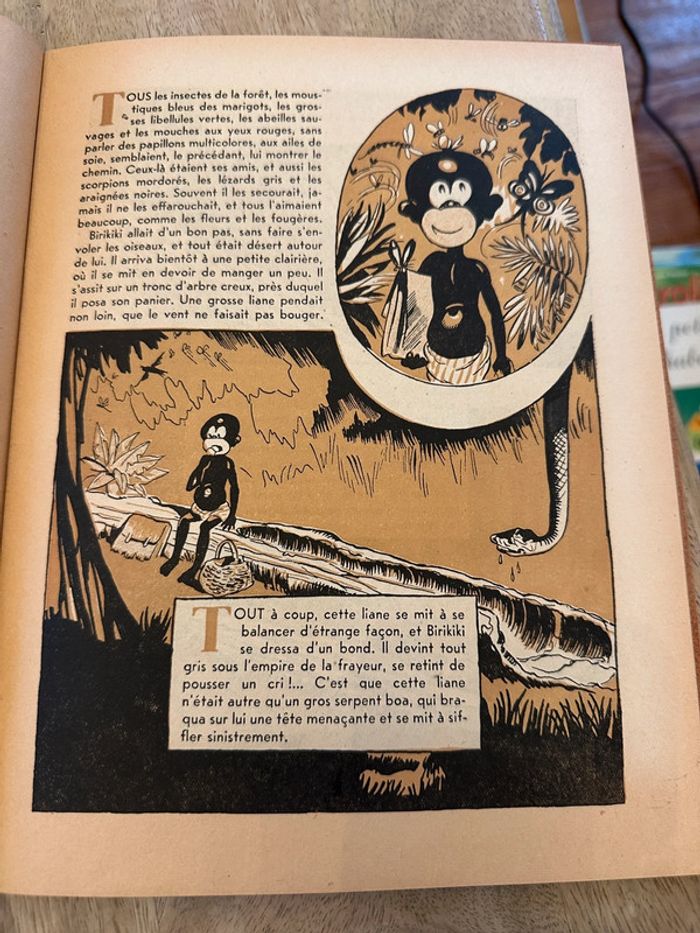 Livre ancien rare Birikiki dans la forêt vierge Roger Roux Pierre Probst éditions puits pelu Lyon - photo numéro 4