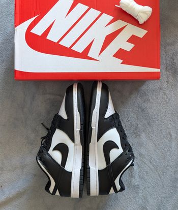 Nike Dunk Low