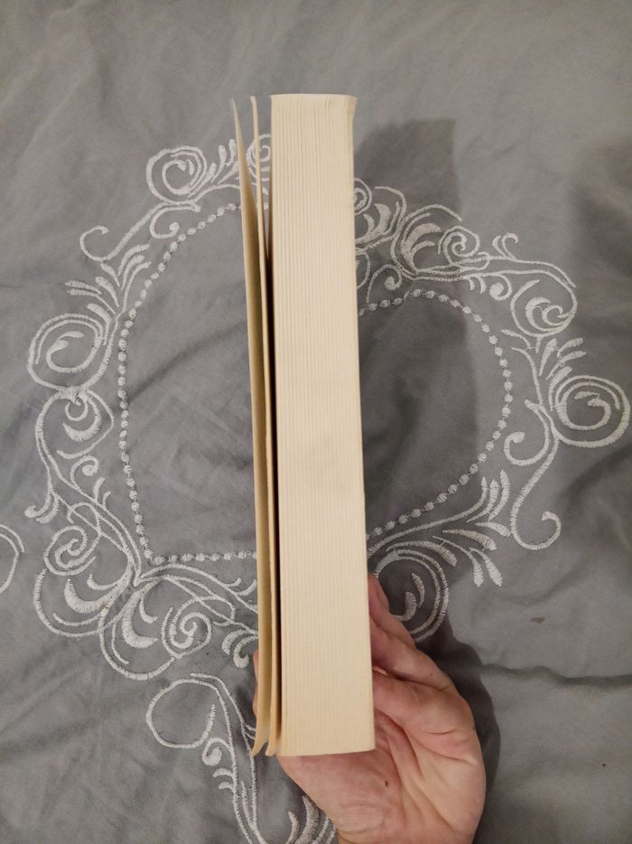 Livre (8) 📚 Les fêtes galantes - photo numéro 4