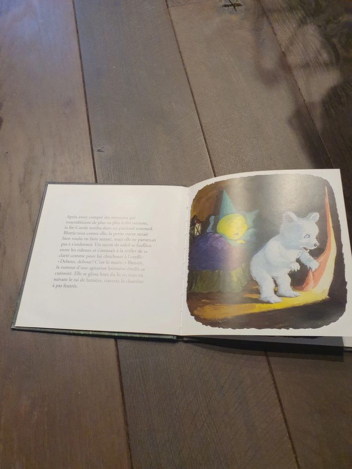 Luna la petite ourse - photo numéro 2