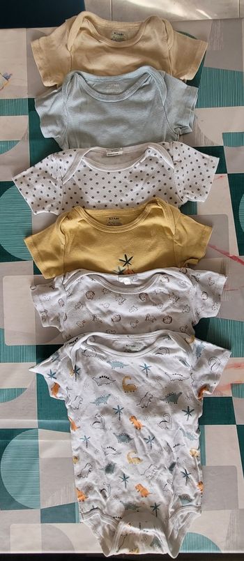 6 bodies manche courte