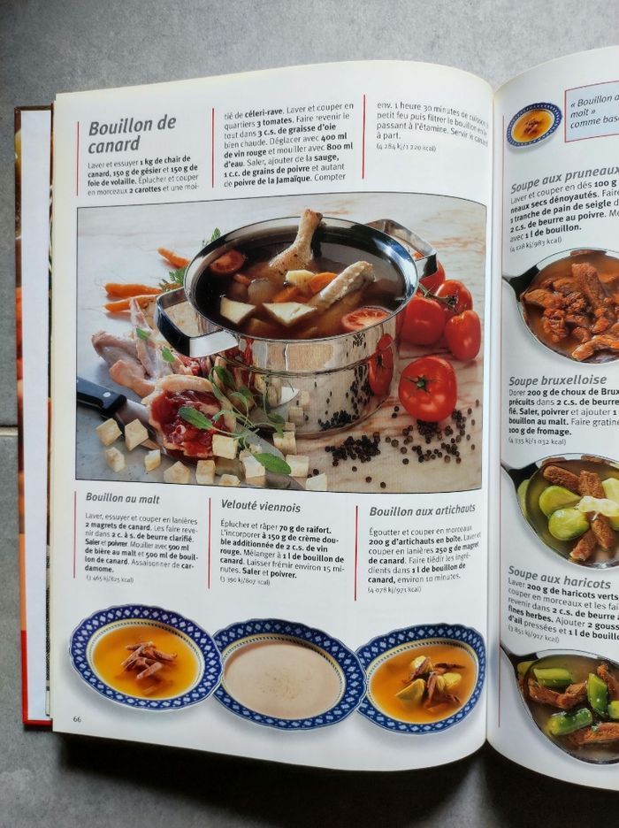 LIVRE RECETTES "1000 Soupes du monde entier" Éditions NGV - photo numéro 3