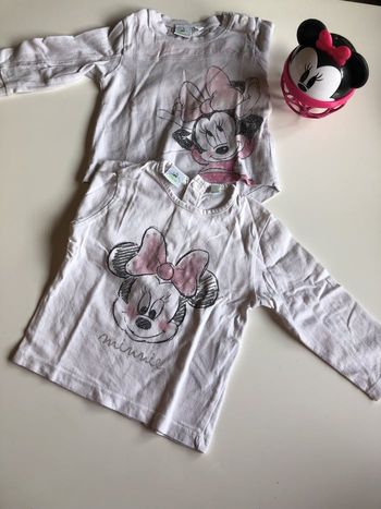 Lot pulls fins Minnie