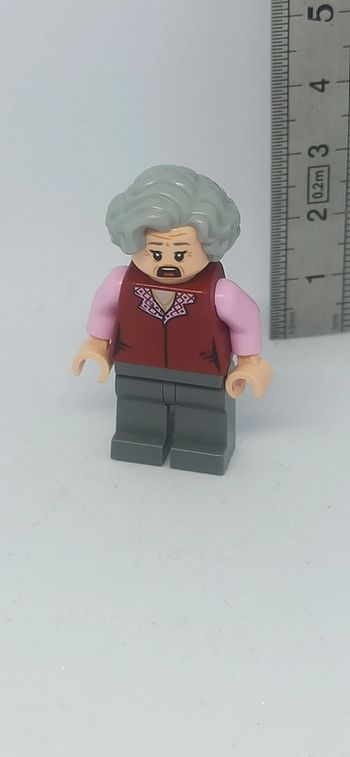 Femme sorcière lego